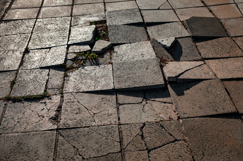 Paver Repair And Sealing